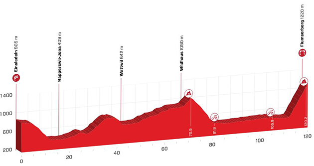 Stage 6 profile